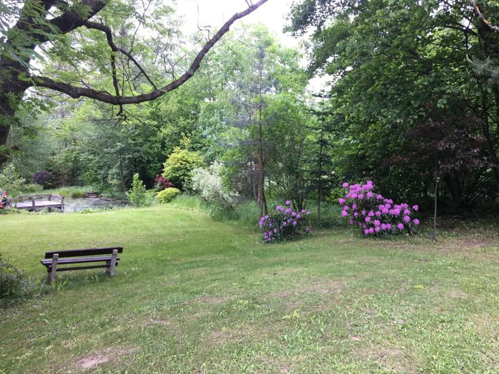 Appartement Nivy Alice A Petra Jandovych *